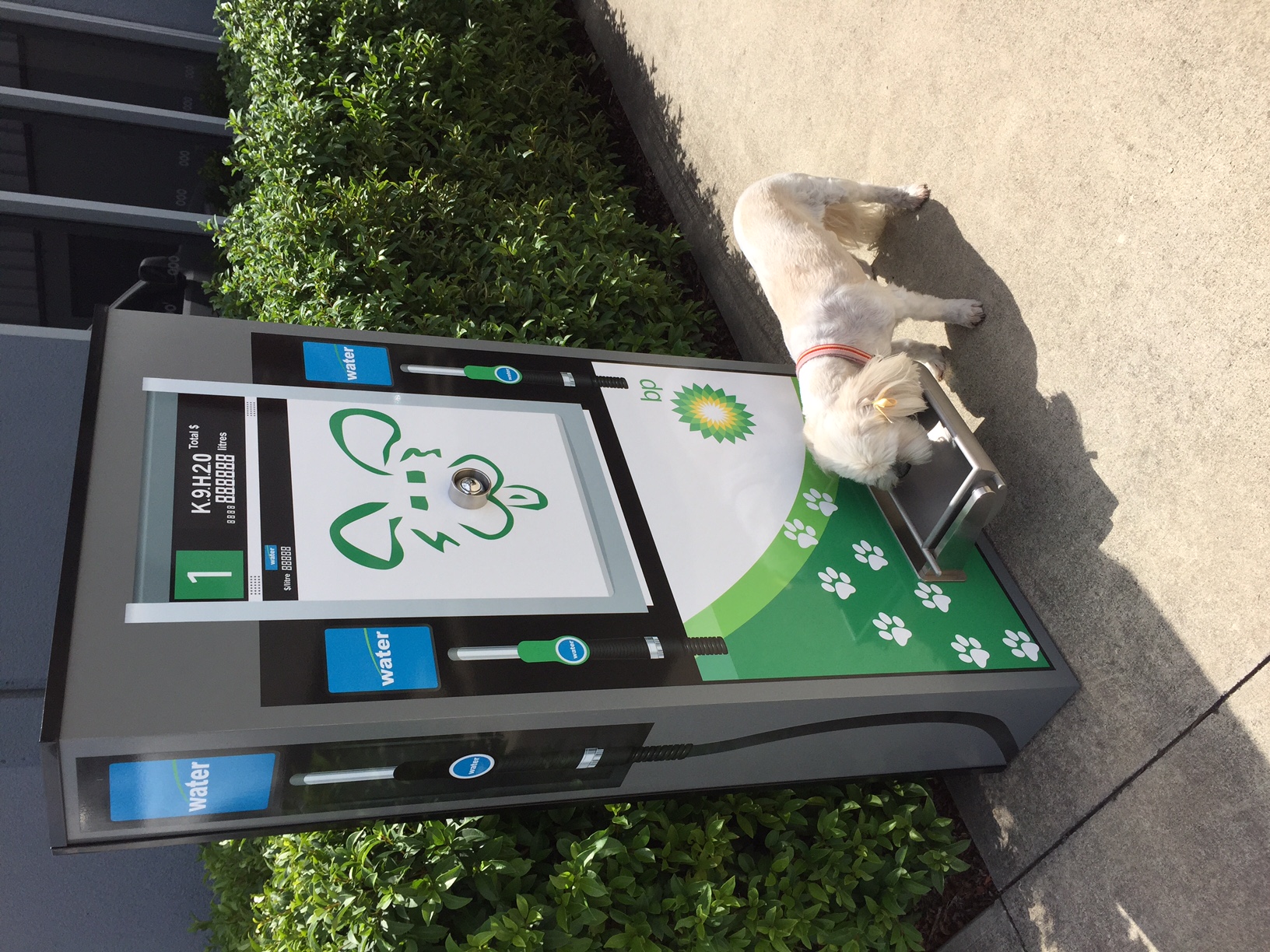 BPDOGFOUNTAIN4 Urban Fountains & Furniture Bench Seats Street