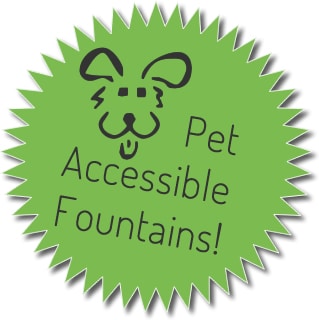 pet-fountain-call-to-action